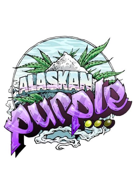 Auto Alaskan Purple seeds