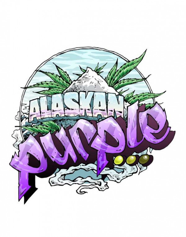 Auto Alaskan Purple seeds