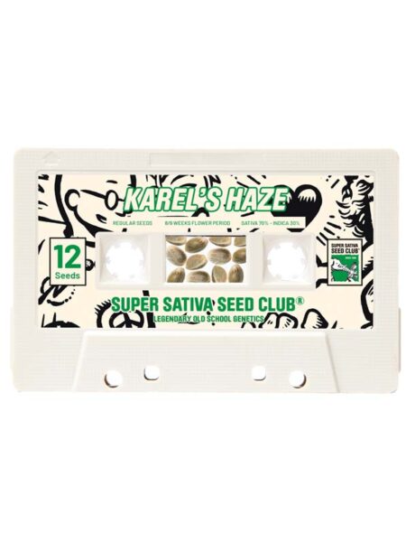 Karel´s Haze regular seeds