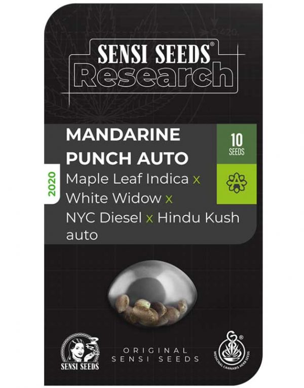 Mandarine Punch Automatic seeds