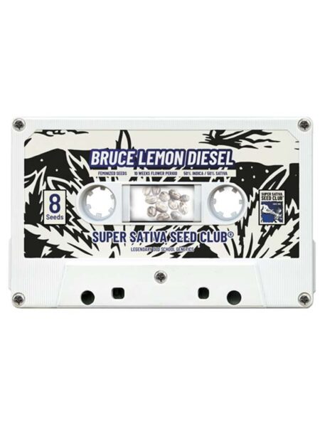 Bruce Lemon Diesel feminized seeds