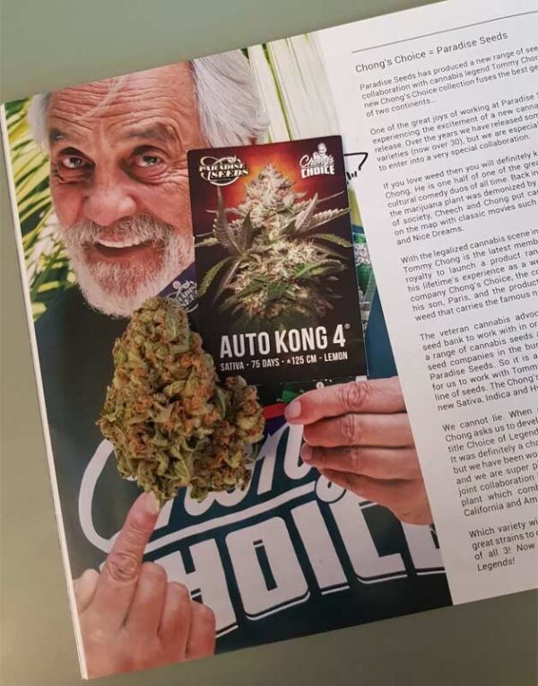Tommy Chong Collection