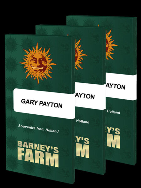 Gary Payton feminized seeds